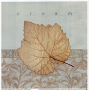 Dream - Art Print by Booker Morey | Movie Poster Prints from Posterazzi