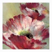 Lush Poppy - Art Print by Brent Heighton | Movie Poster Prints from Posterazzi