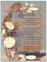 Legend of Sand Dollar - Art Print | Movie Poster Prints from Posterazzi
