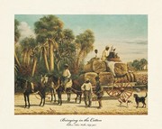 William Aiken Walker W. aiken Walker - Bringing in the Cotton Size 16x20 20 x 16 Poster Print