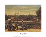 W. aiken Walker - Picking Cotton Size 8x10 - Art Print by William Aiken Walker | Movie Poster Prints from Posterazzi