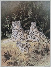 T.c. Chiu - White Tiger Cubs Size 6x8 - Art Print by T.C. Chiu | Movie Poster Prints from Posterazzi