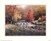 T.c. Chiu - Flowing Stream Size 16x20 - Art Print by T.C. Chiu | Movie Poster Prints from Posterazzi