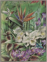 T.c. Chiu - Hummingbirds Feeding Size 6x8 - Art Print by T.C. Chiu | Movie Poster Prints from Posterazzi