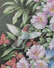 T.c. Chiu - Green Hummingbird Size 6x8 - Art Print by T.C. Chiu | Movie Poster Prints from Posterazzi
