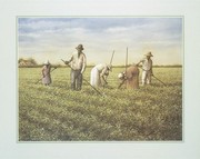 Tabacco Field - Art Print by Charles Carol Coleman | Movie Poster Prints from Posterazzi