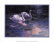 Swans and Waterfall - Art Print by T.C. Chiu | Movie Poster Prints from Posterazzi