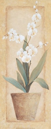 Delicate Orchid - Art Print by T.C. Chiu | Movie Poster Prints from Posterazzi