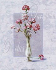 Carnation - Art Print by T.C. Chiu | Movie Poster Prints from Posterazzi