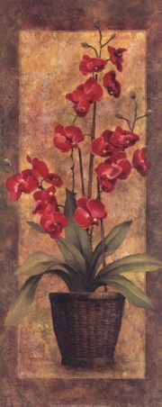 Potted Orchid - Red - Art Print by T.C. Chiu | Movie Poster Prints from Posterazzi