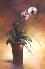 T.c. Chiu - Flowering Orchid I Size 24x36 - Art Print by T.C. Chiu | Movie Poster Prints from Posterazzi