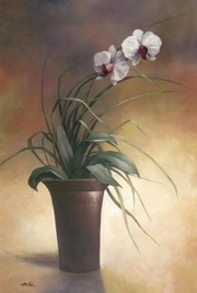 Flowering Orchid I - Art Print by T.C. Chiu | Movie Poster Prints from Posterazzi