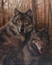 Wolves Pair - Art Print by T.C. Chiu | Movie Poster Prints from Posterazzi