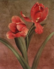 Iris Red - Art Print by T.C. Chiu | Movie Poster Prints from Posterazzi