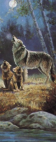 Moonlit Wolves - Art Print by Marianne Caroselli | Movie Poster Prints from Posterazzi