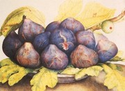 Still Life with Figs - Art Print by Giovanni Garzoni | Movie Poster Prints from Posterazzi