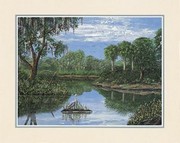 Florida Wetlands - Art Print by  Jack and Jackie | Movie Poster Prints from Posterazzi
