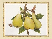 Antique Pears - Art Print | Movie Poster Prints from Posterazzi