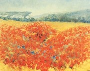 Poppyfield in Provence - Art Print | Movie Poster Prints from Posterazzi