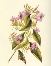 Botanical IV - Art Print | Movie Poster Prints from Posterazzi