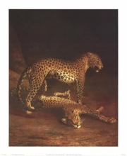 Two Leopards Playing In The Exeter Chang - Art Print by Jacques-lauren Agasse | Movie Poster Prints from Posterazzi