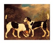 A Couple of Foxhounds - Art Print by George Stubbs | Movie Poster Prints from Posterazzi