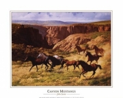 Canyon Mustangs - Art Print by John Leone | Movie Poster Prints from Posterazzi