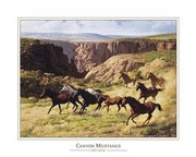 Canyon Mustangs - Art Print by John Leone | Movie Poster Prints from Posterazzi