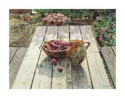 Picnic Bench - Art Print by Neil Faulkner | Movie Poster Prints from Posterazzi