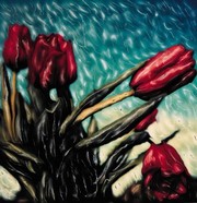 Red Tulips - Art Print by Robert Sturman | Movie Poster Prints from Posterazzi