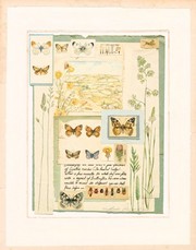 A Study of Butterflies - Art Print by  Horner and brooks | Movie Poster Prints from Posterazzi