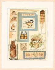 Study of Birds - Art Print | Movie Poster Prints from Posterazzi