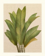 Balinese Palm II - Art Print | Movie Poster Prints from Posterazzi