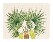 Indonesian Palm II - Art Print | Movie Poster Prints from Posterazzi