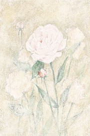 Peony - Art Print by C.C. Wilson | Movie Poster Prints from Posterazzi