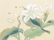 Moon Lily - Art Print | Movie Poster Prints from Posterazzi