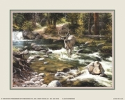 Buck in Midstream - Art Print by Jack Sorenson | Movie Poster Prints from Posterazzi