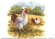 Three Hens - Art Print by Peggy Thatch Sibley | Movie Poster Prints from Posterazzi