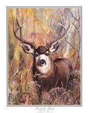 Buck In Forest - Art Print by Michelle Mara | Movie Poster Prints from Posterazzi