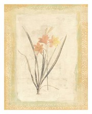 Provincial Chic II - Art Print by  Simin and sue | Movie Poster Prints from Posterazzi
