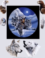 Moonlit Warrior - Art Print by Gary Ampel | Movie Poster Prints from Posterazzi