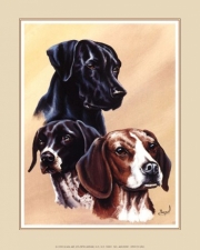 Dog Collage II - Art Print by Gary Ampel | Movie Poster Prints from Posterazzi
