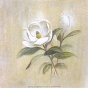 Magnolia - Art Print by Ron Jenkins | Movie Poster Prints from Posterazzi