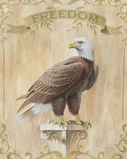 Eagle - Freedom - Art Print by Ron Jenkins | Movie Poster Prints from Posterazzi