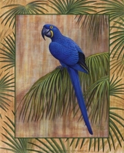 Hyacinth Macaw - Art Print by Ron Jenkins | Movie Poster Prints from Posterazzi