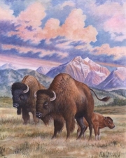 Bison - Art Print by Anne Jenkins | Movie Poster Prints from Posterazzi