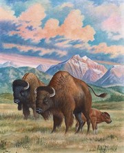 Bison - Art Print by Anne Jenkins | Movie Poster Prints from Posterazzi
