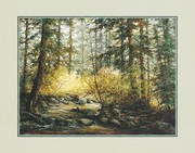Pat Durgin - Serene Woods Size 16x20 - Art Print by Pat Durgin | Movie Poster Prints from Posterazzi