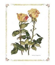 Yellow Daffodils - Art Print by Carolyn Cappello | Movie Poster Prints from Posterazzi