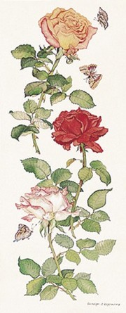 Rose Bloom II - Art Print by Carolyn Cappello | Movie Poster Prints from Posterazzi